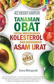 Cover 42 Resep Ampuh Tanaman Obat untuk Menurunkan Kolesterol dan Mengobati Asam Urat / Irena Manganti