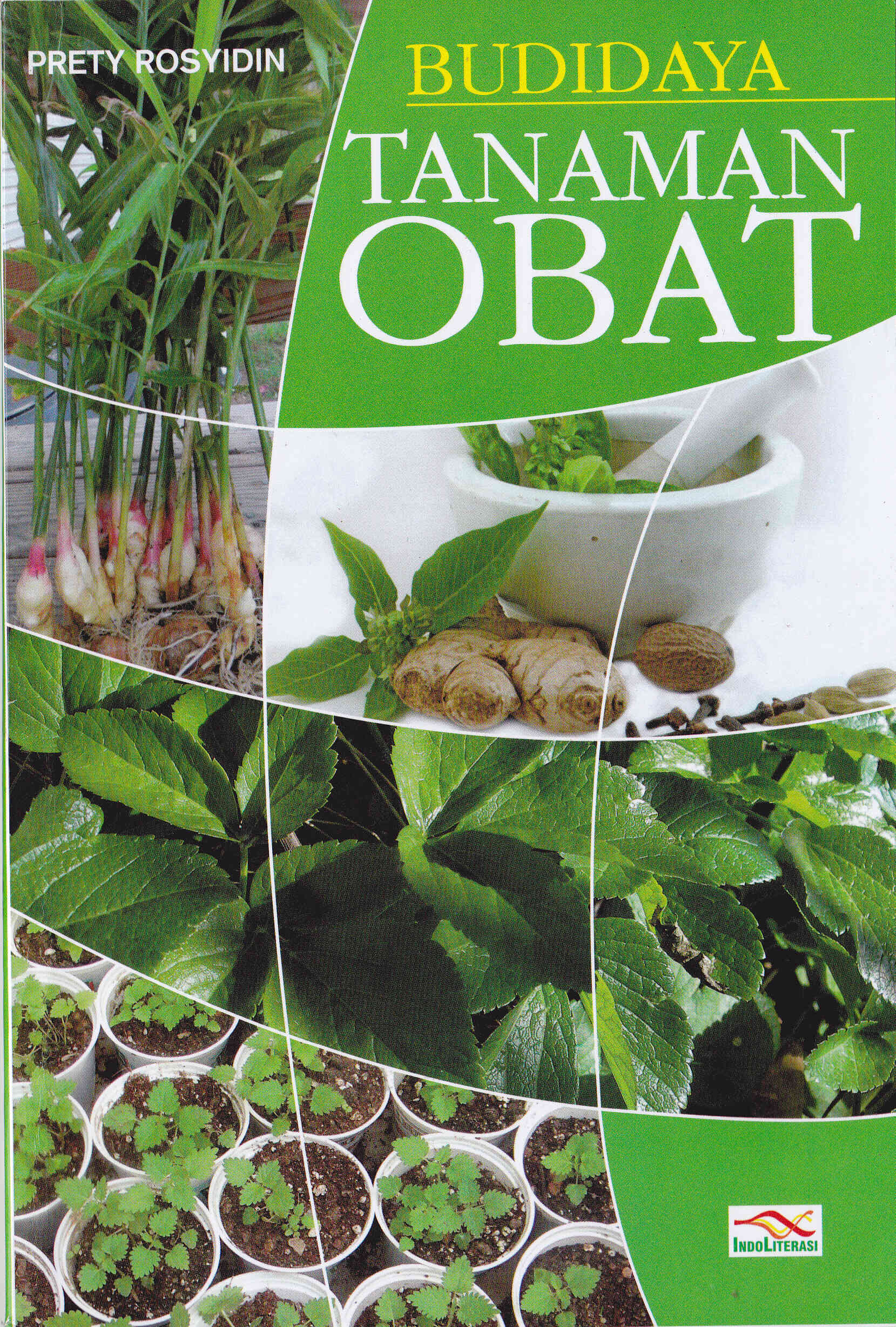 Cover Budidaya Tanaman Obat / Prety Rosyidin