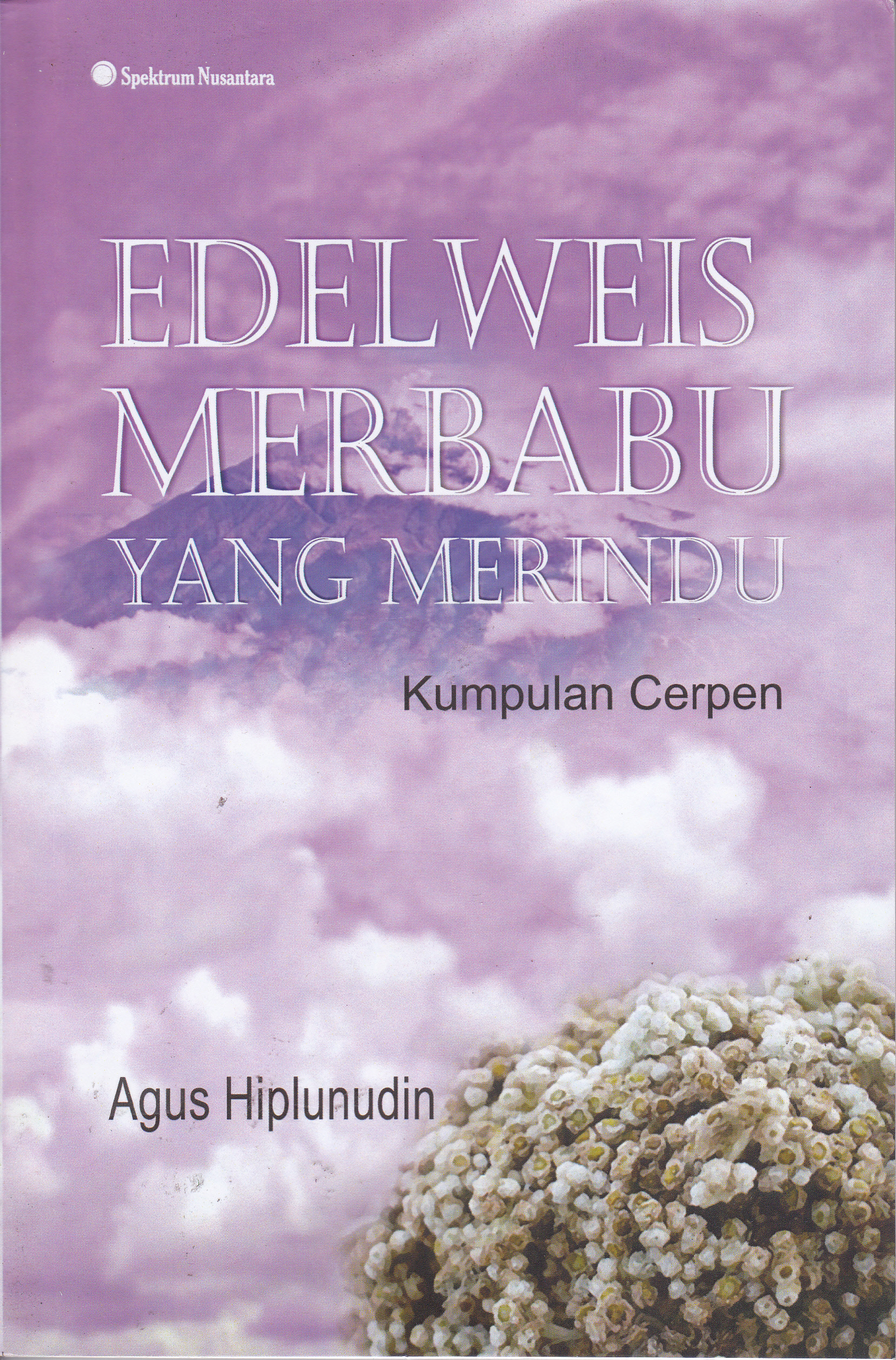 Cover Edelweis Merbabu yang Merindu :  Kumpulan Cerpen / Agus Hiplunudin