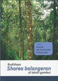 Cover Budidaya Shorea Balangeran di Lahan Gambut :  - / Suryanto