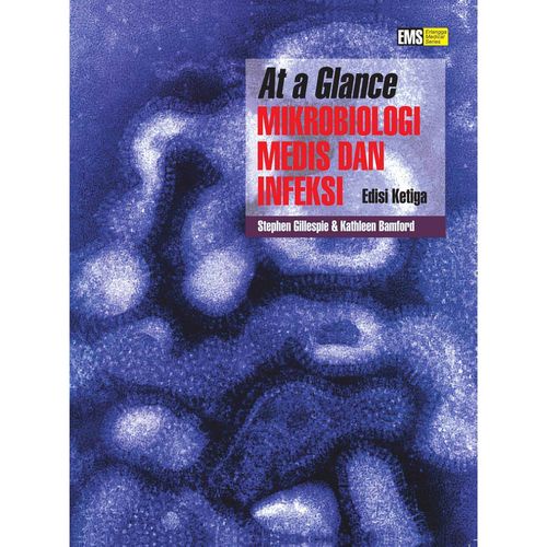 Cover At a Glance Mikrobiolgi Medis dan Infeksi :  Edisi Ketiga / Stephen Gillespie
