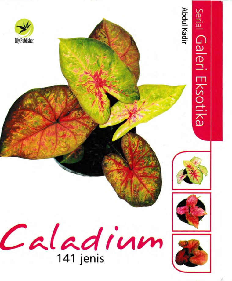 Cover Caladium 141 Jenis :  - / Abdul Kadir