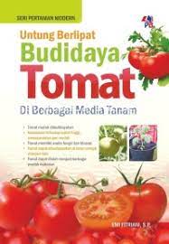 Cover Untung Berlipat Budidaya Tomat di Berbagai Media Tanam :  - / Emi Fitriani