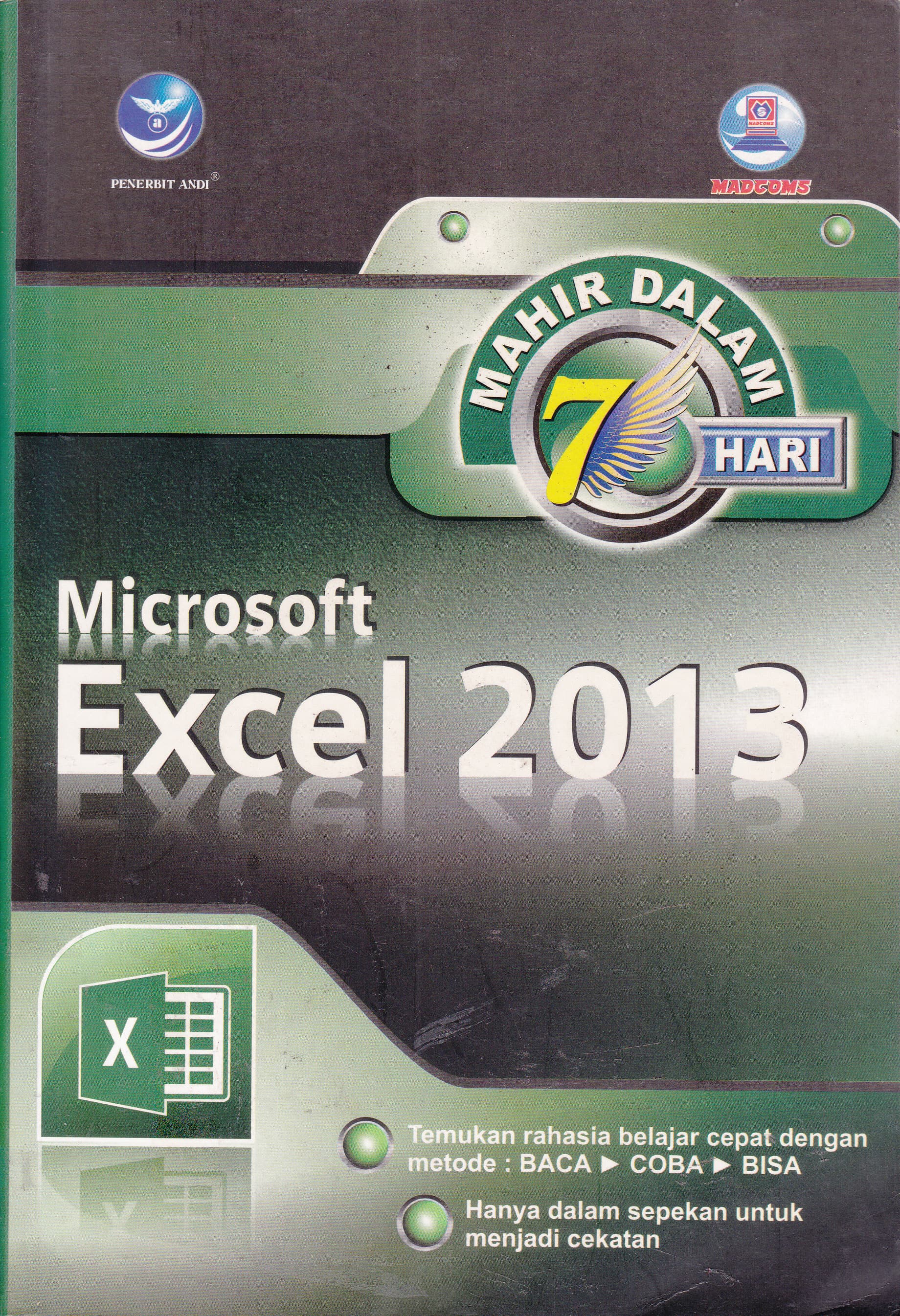 Cover Mahir dalam 7 Hari Microsoft Excel 2013 / Madcoms