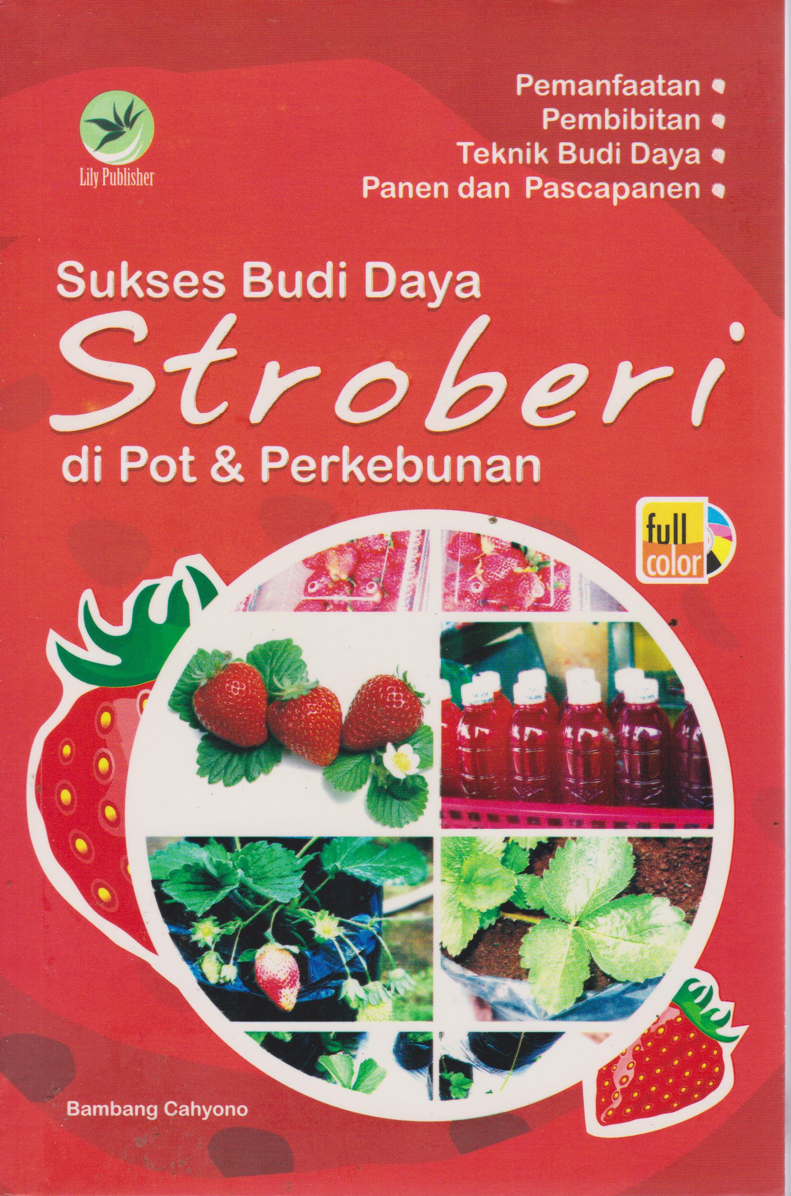 Cover Sukses Budi Daya Stroberi di Pot & Perkebunan / Bambang Cahyono