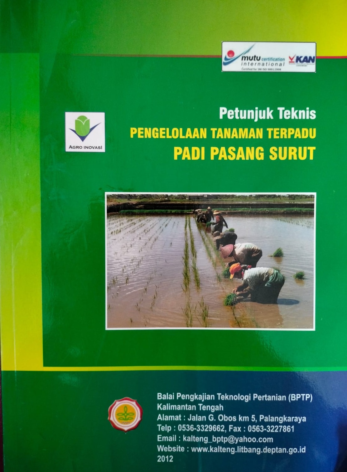 Cover Petunjuk Teknis Pengelolaan Tanaman Terpadu Padi Pasang Surut / Suriansyah