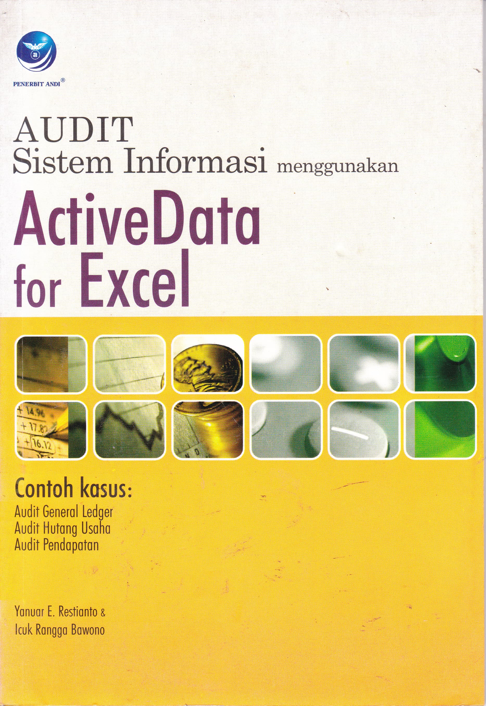 Cover Audit Sistem Informasi Menggunakan Active Data For Excel / Yanuar E. Restianto