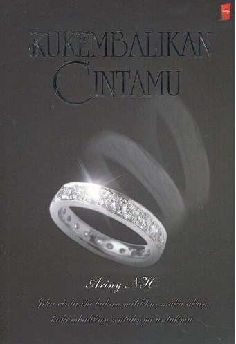 Cover Kukembalikan Cintamu / Ariny NH