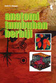 Cover Anatomi Tumbuhan Berbiji / Estiti B. Hidayat