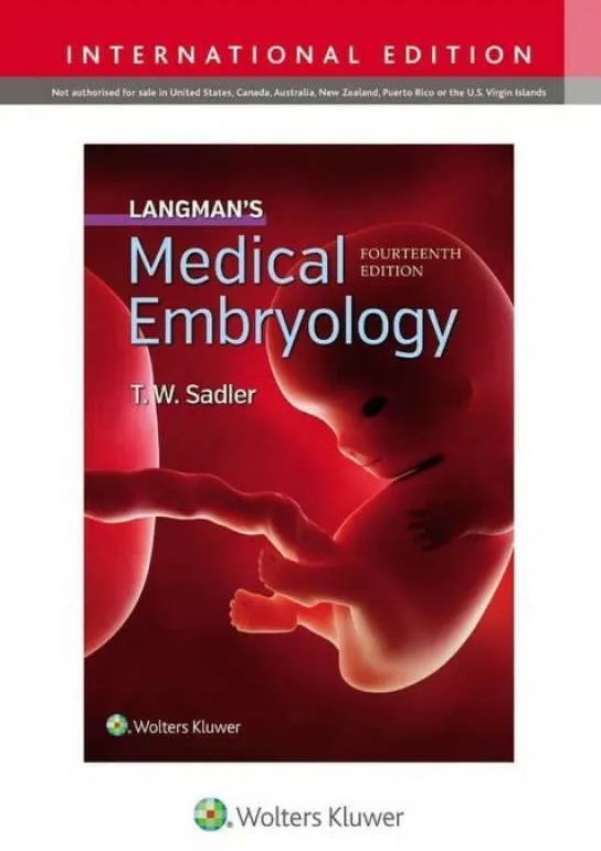 Cover Langmans Medical Embryology :  - / Sadler
