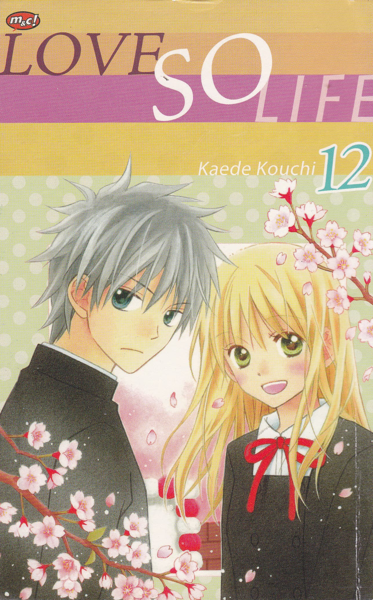 Cover Love So Life 12 :  Vol. 12 / Kaede Kouchi