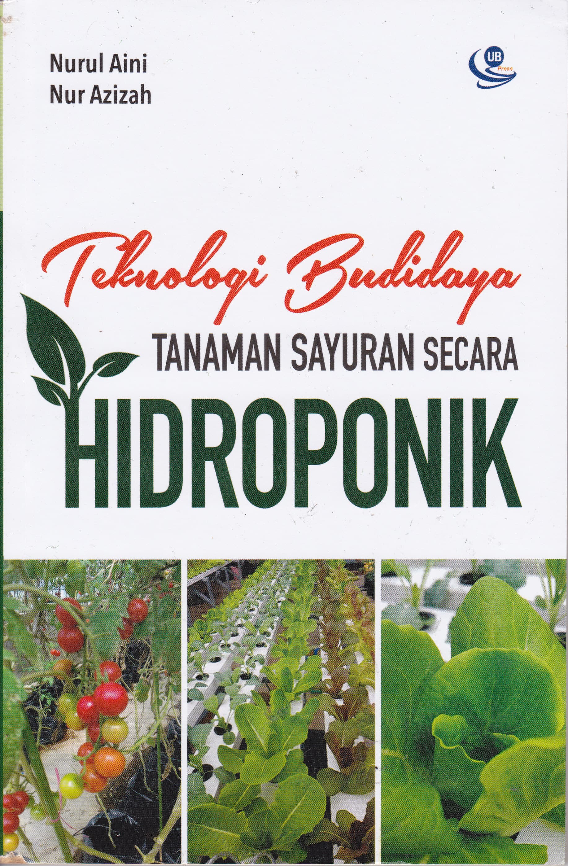 Cover Teknologi Budidaya Tanaman Sayuran Secara Hidroponik / Nurul Aini