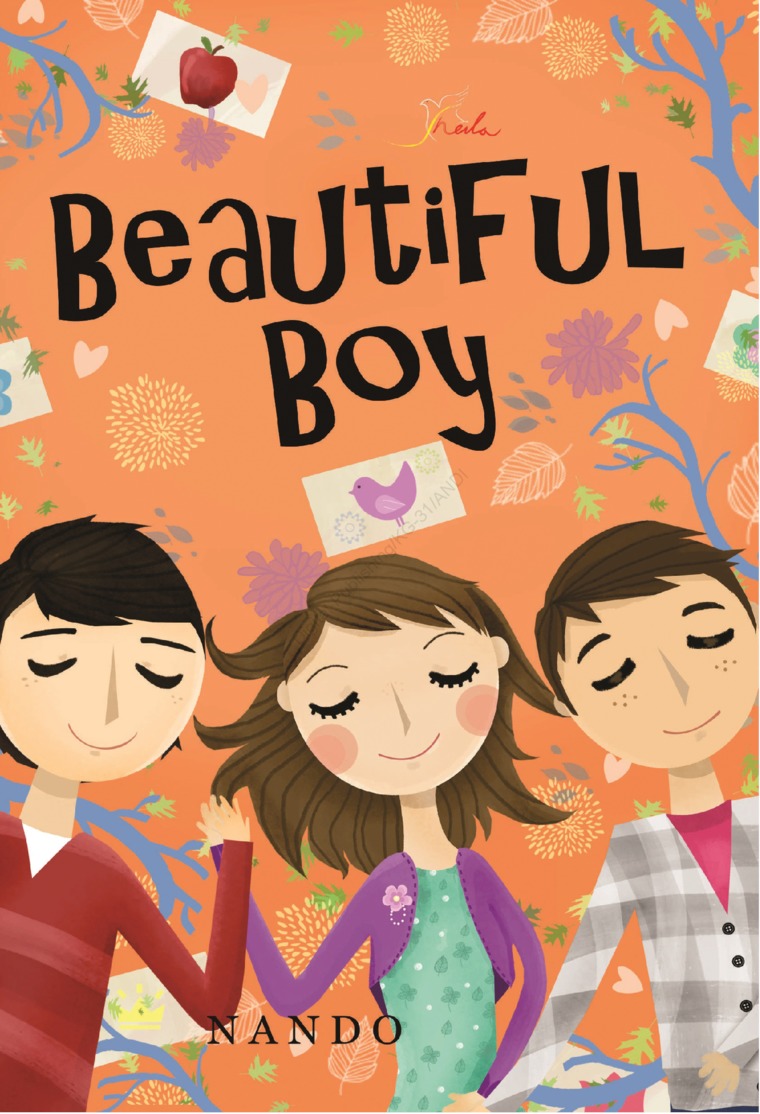 Cover Beautiful Boy :  - / Nando