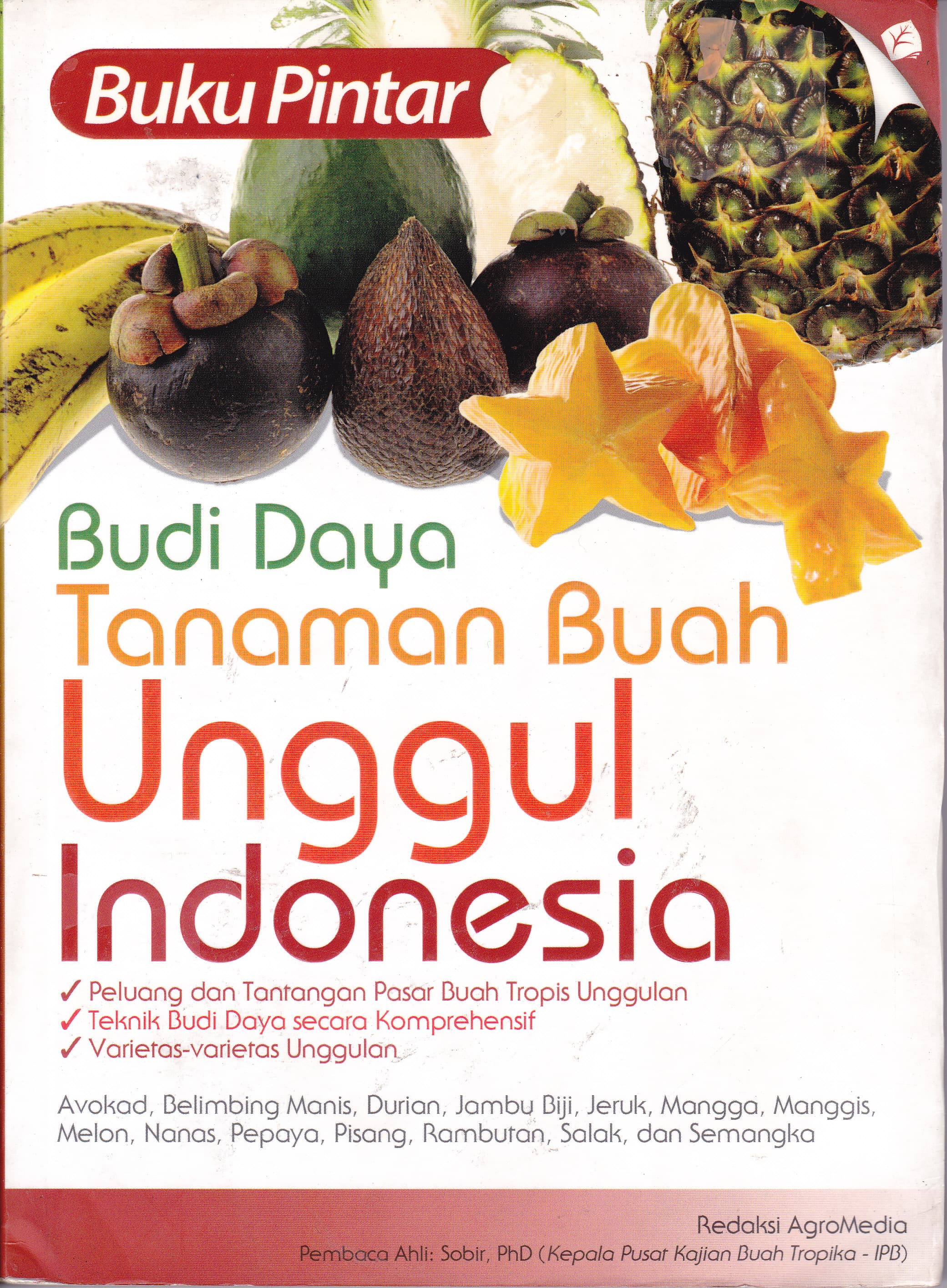 Cover Budi Daya Tanaman Buah Unggul Indonesia / M. Topan Nixon