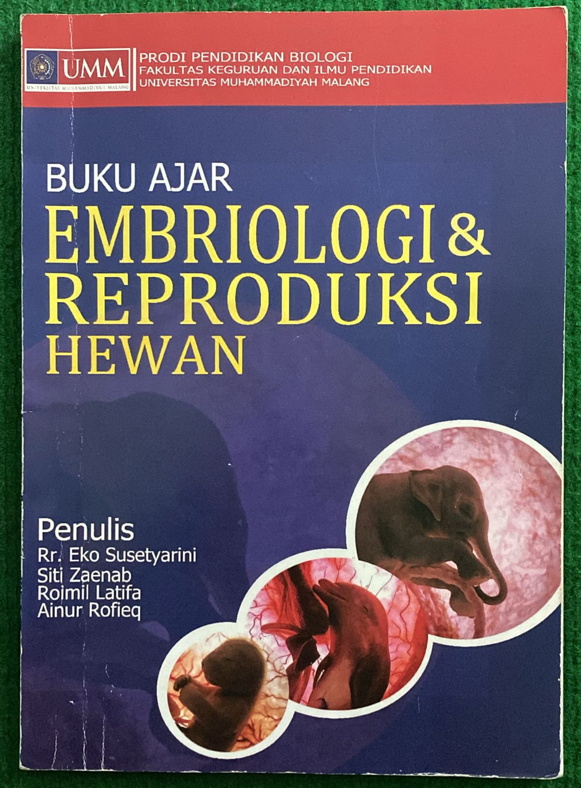 Cover Buku Ajar Embriologi & Reproduksi Hewan / Rr. Eko Susetyarini