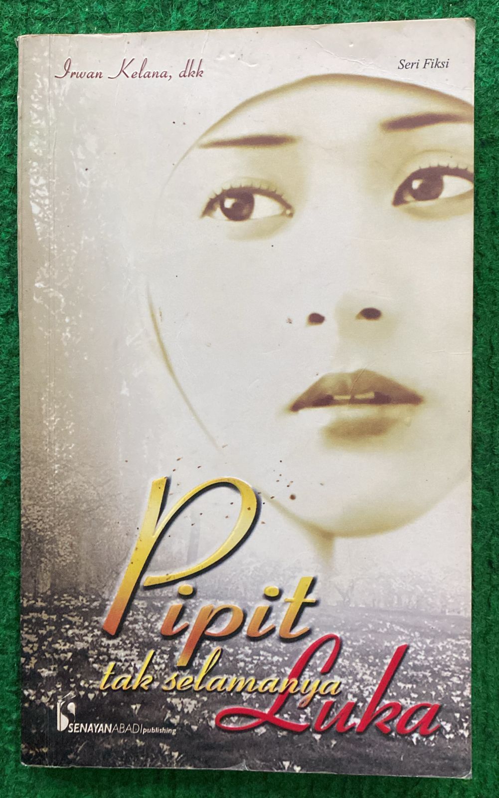 Cover Pipit Tak Selamanya Luka / Irwan Kelana